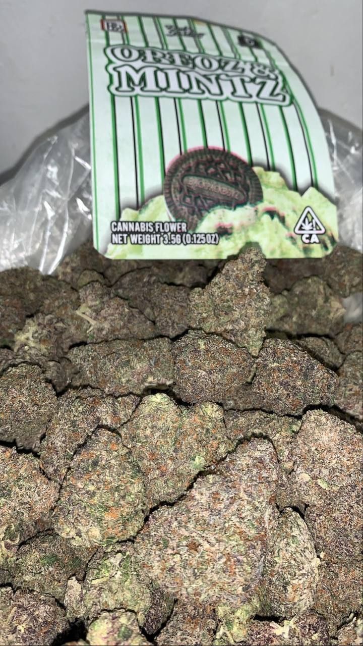 store_01JCBBZHTJW304D5JZ8Y01YCB7_assets_1731683601503-WhatsAppImage2024-09-30at16.28.37_3eca14cb THC Weed Kaufen